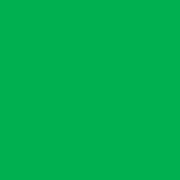Green Bullett